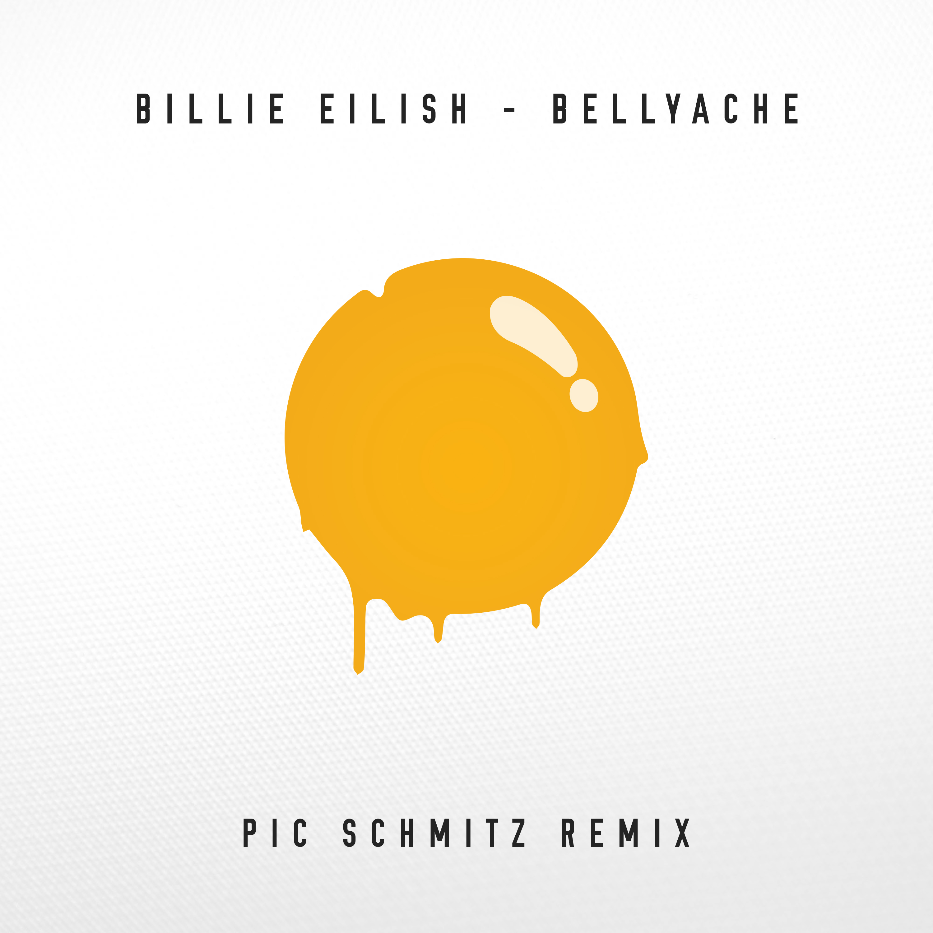 Bellyache (Pic Schmitz Remix) | Billie Eilish