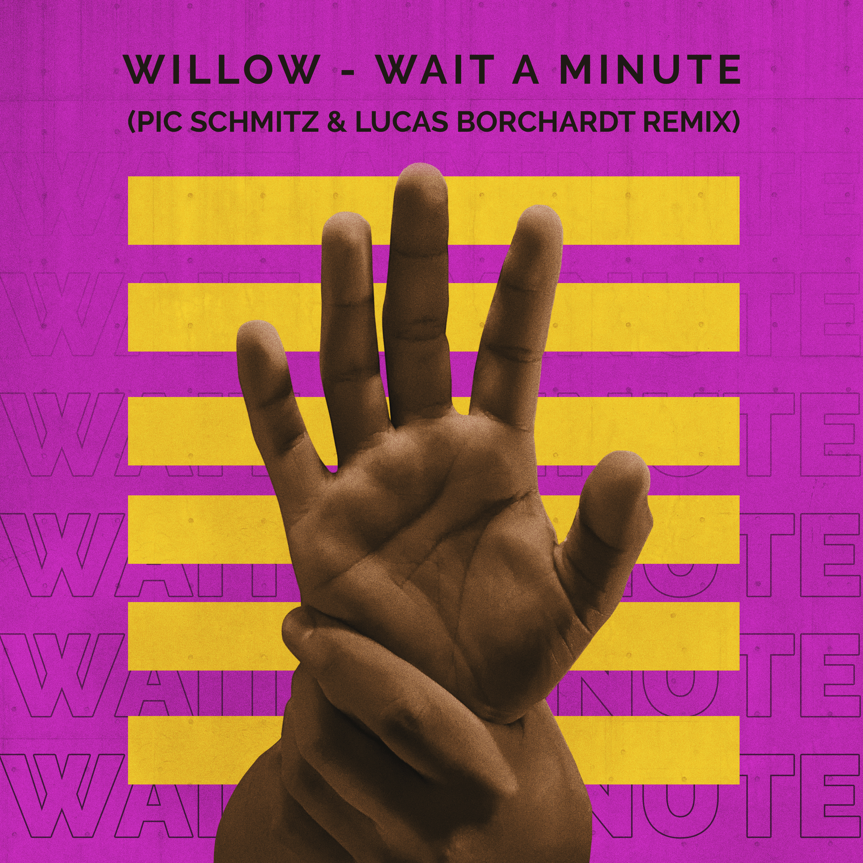 Wait A Minute (Pic Schmitz & Lucas Borchardt Remix) | Willow Smith