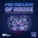 For The Love Of House #12 | Pic Schmitz