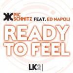 Ready To Feel (Original Mix) | Pic Schmitz feat. Ed Napoli
