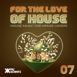 For The Love Of House #7 | Pic Schmitz