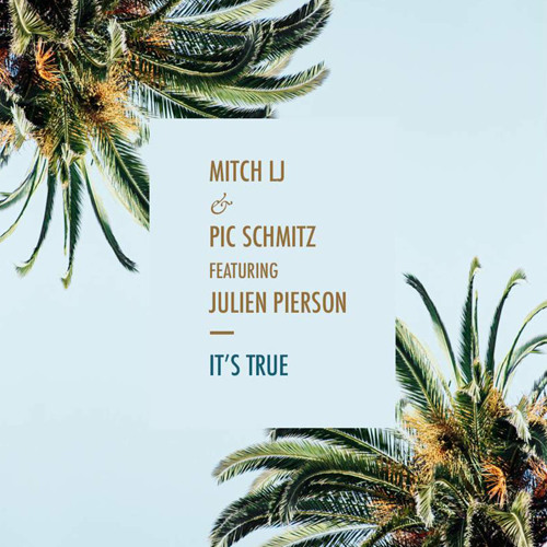 It's True | Mitch LJ & Pic Schmitz feat. Julien Pierson