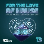 For The Love Of House #13 | Pic Schmitz