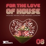 For The Love Of House #8 | Pic Schmitz