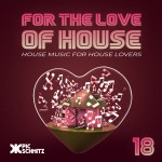 For The Love Of House #18 | Pic Schmitz