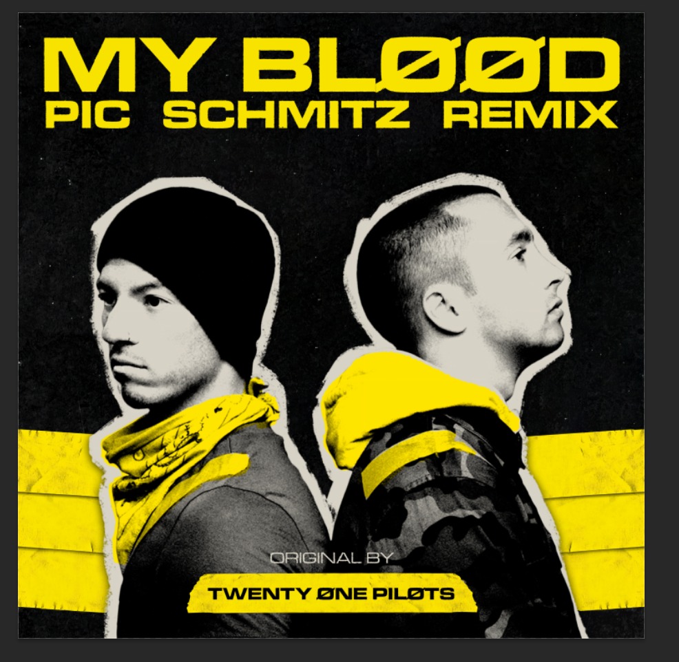 My Blood (Pic Schmitz Remix) | Twenty One Pilots