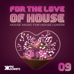 For The Love Of House #9 | Pic Schmitz